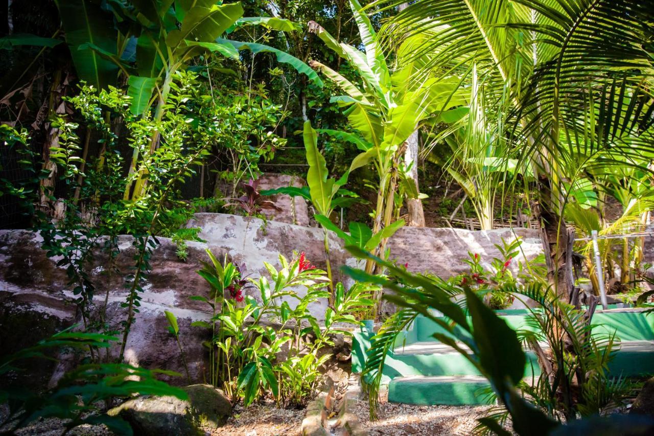 Sintonia Surf Hostel E Bar Ubatuba Eksteriør billede