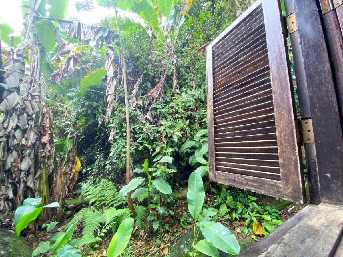 Sintonia Surf Hostel E Bar Ubatuba Eksteriør billede